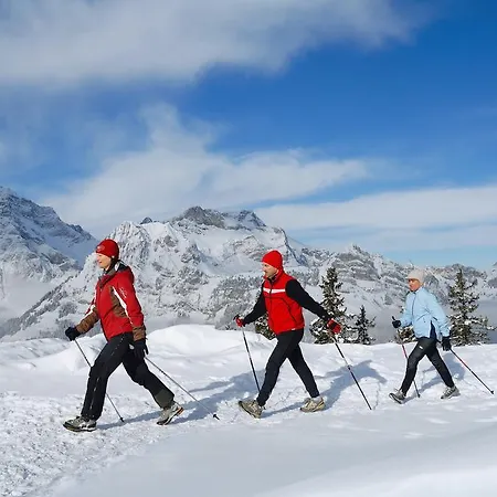Alpesi faház Chalet Bergmandli