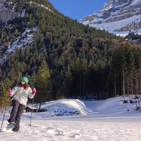 Chalet Bergmandli Chalet *