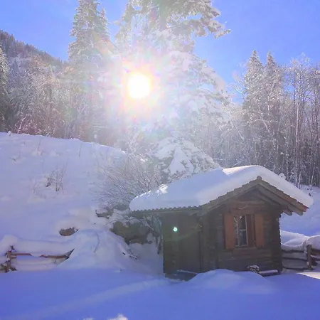 Chalet Chalet Bergmandli