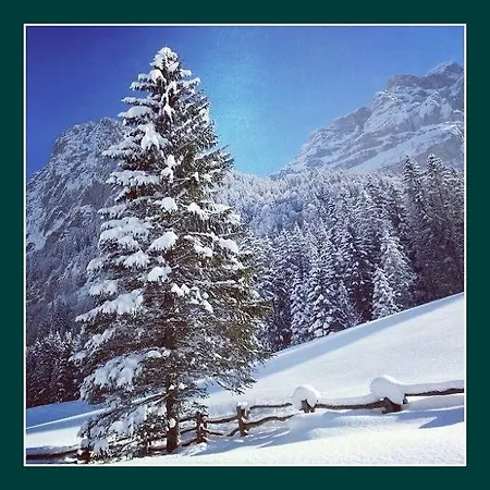 Chalet Bergmandli