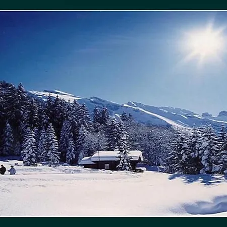 Chalet Bergmandli Alpesi faház Engelberg
