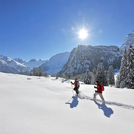 Alpstuga Chalet Bergmandli *