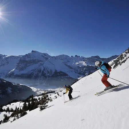 Alpstuga Chalet Bergmandli Engelberg